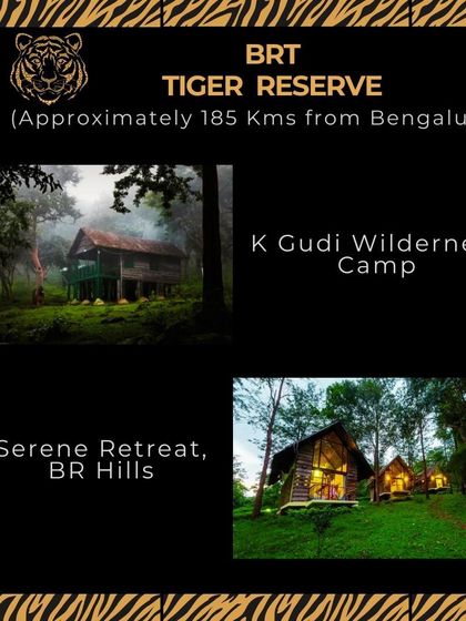 A guide to the best stays in the BRT Tiger Reserve. K Gudi Wilderness Camp offers a rustic, immersive experience, while Serene Retreat in BR Hills provides more comfort with stunning views.