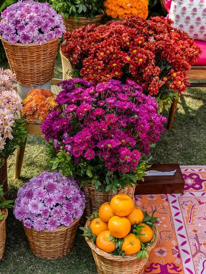 Baskets overflowing with colorful chrysanthemums and fresh oranges, set on a vibrant pink and orange rug.