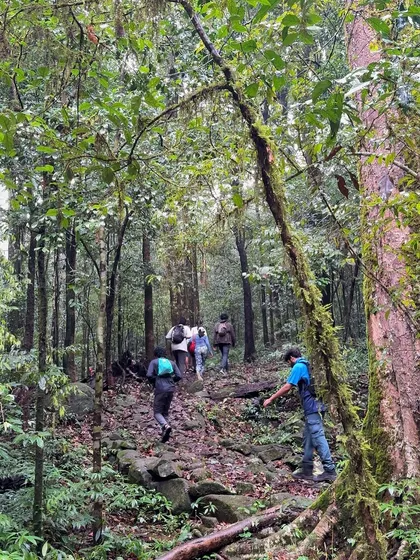 Trekkers navigating the forest trail on the Kumara Parvatha trek, with a guide leading the way.