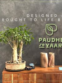 Curated Plant & Decor Retail