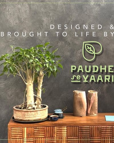 Curated Plant & Decor Retail