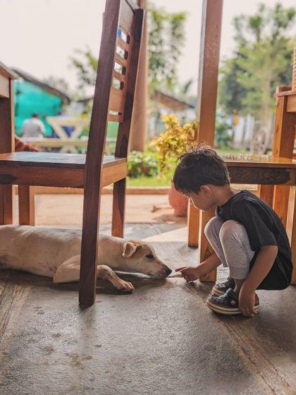 Poochkoo Mutts & Nutts - Dog-Friendly Cafe & Events Community & Education photo 3