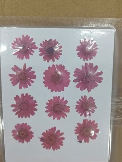 A sheet of pressed pink flowers, ready for use in resin art. The pressing process preserves their color and delicate shape perfectly.