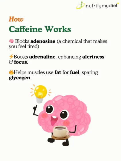 How does caffeine work? It blocks adenosine to reduce tiredness, boosts adrenaline for alertness, and helps muscles use fat for fuel, sparing precious glycogen.