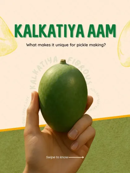 What makes the Kalkatiya Aam unique for pickle making? This carousel explains the special properties of this local Darbhanga mango that we use in our pickles.