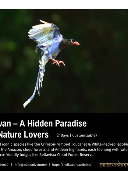 Our customizable 7-day tour to Taiwan is advertised here, showcasing the island as a hidden paradise for nature lovers. We explore cloud forests and highlands teeming with wildlife.