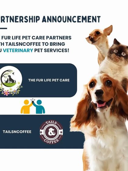 To provide the best medical care, I have partnered with The Fur Life Pet Care. This means you have access to expert veterinary services right here at our center, making healthcare convenient and reliable.
