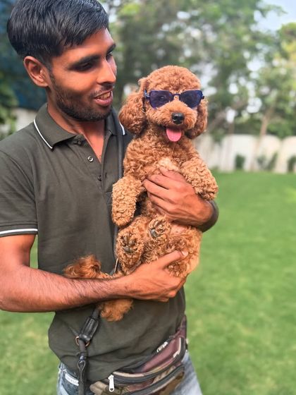 Milo looking cool in his sunglasses, held by one of our dedicated team members. We love to have fun with our furry guests.