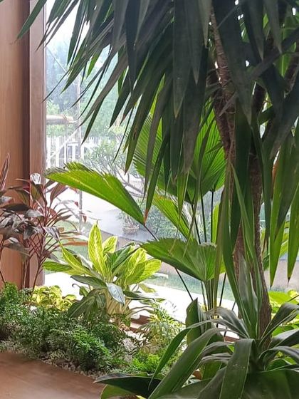 Make My Garden - Garden Design & Landscaping Indoor Green Spaces photo 26