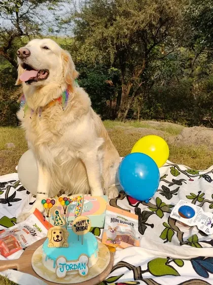 A perfect birthday picnic for Jordan. He celebrated turning 7 with an outdoor party, complete with his favorite apple chicken cake.