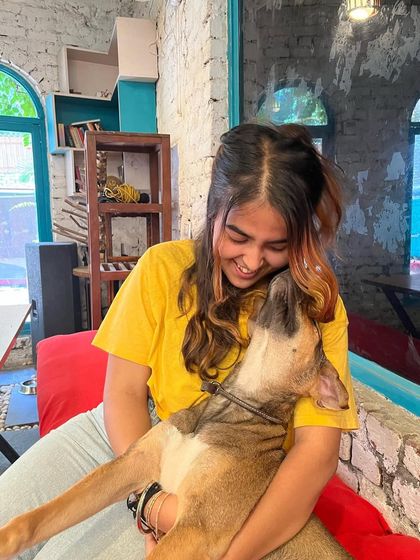 Our beautiful boy Bugs enjoying his day with a customer. We love seeing our rescue dogs bond with new people.