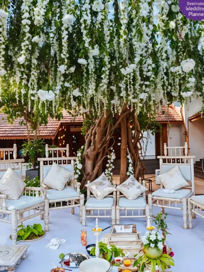 For this ceremony, we used a magnificent old tree as the centerpiece, draping it with cascading white wisteria to create a natural and enchanting mandap.