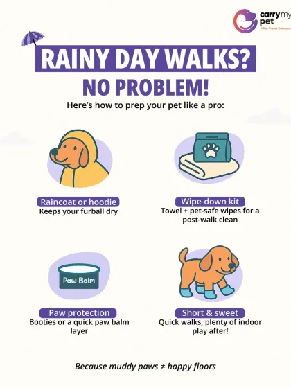 CarryMyPet - Pet Travel & Parenting Consultation Pet Parenting & Wellness photo 8