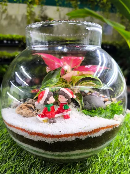 A Christmas-themed terrarium with a colorful Aglaonema and a couple in Santa hats, creating a romantic holiday scene in a jar.