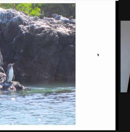 Papagoya - Play-Based Learning Workshops & Training A Glimpse into Our Classrooms photo 22