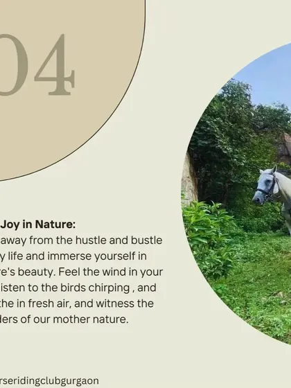We believe in finding joy in nature. Our rides are designed to help you step away from city life and immerse yourself in the beauty of the outdoors, feeling the wind and breathing the fresh air.