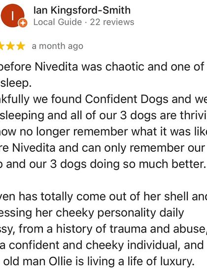 Confident Dogs - Canine Behavior Modification Real Dogs, Real Transformations photo 9