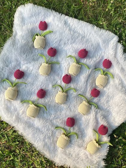 Bulk Orders for Events photo 11