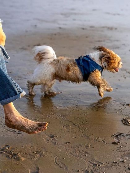 Pawparazzi By Prathima - Pet Milestone Photography Outdoor Adventures & Candid Play photo 9