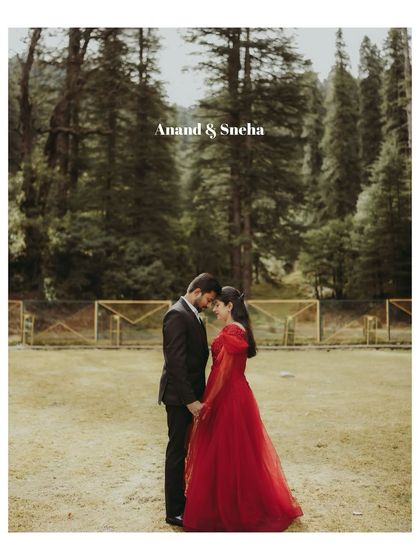 A romantic post-wedding portrait in a Dalhousie forest, capturing the couple in a loving embrace.