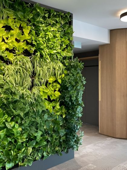 We integrated this vertical garden into a corporate hallway, turning a functional area into a memorable design feature. The wall of greenery provides a refreshing visual break and improves the indoor environmental quality.