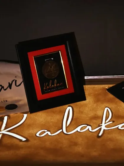 I was deeply honored to receive this award and recognition from the Kalakari Film Festival. It is moments like these that validate the hard work and inspire me to continue creating and innovating.
