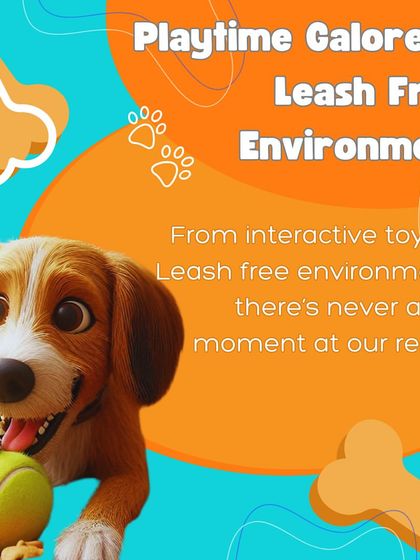 Playtime is a guarantee at our resort. This image emphasizes our leash-free environment and the variety of interactive toys we provide to ensure there's never a dull moment for your dog.