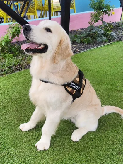 Just look at that smile. This is what it's all about for us: providing a space where your pets can feel happy, safe, and completely at ease.
