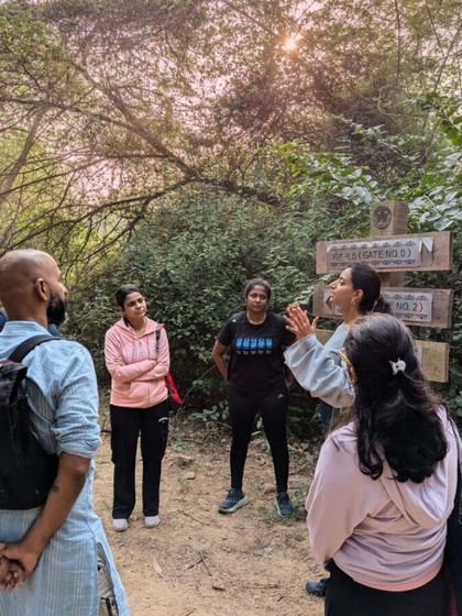 Trove Experiences - Wellness & Mindful Movement Forest Therapy: Reconnect with Nature photo 4