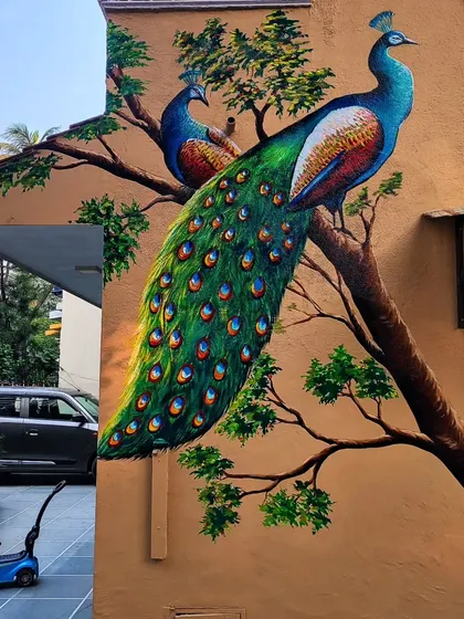 This large-scale peacock mural adorns the exterior of a private residence, showcasing my work on rough, textured surfaces. The vibrant colors and detailed feather work are designed to be durable and weather-resistant, bringing a touch of nature's elegance to the building's facade.