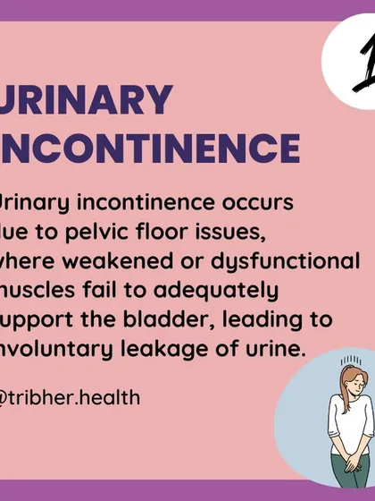 Urinary incontinence, or involuntary leakage, is a common sign of a weak or dysfunctional pelvic floor. Our exercises directly target these muscles to improve bladder support.