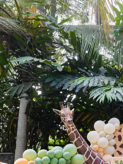 A life-sized giraffe prop peeking out from behind palm trees and a balloon garland, creating a realistic and exciting safari atmosphere.