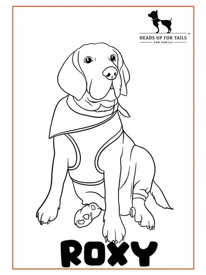 A black and white line art illustration of a Beagle, created for a live event at a pet shop. This clean style is great for coloring or as a standalone piece.