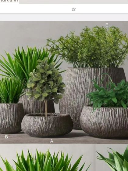 A set of textured, bowl-shaped planters in various sizes, perfect for creating a clustered arrangement of plants.