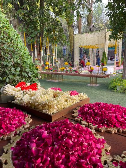 Daylight Celebrations: Haldi & Mehendi photo 6