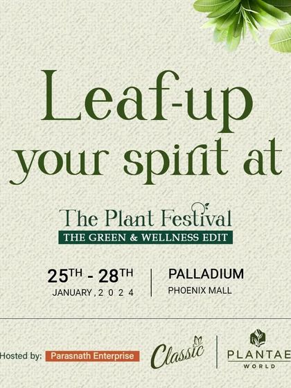 Our Journey and Recognition photo 8