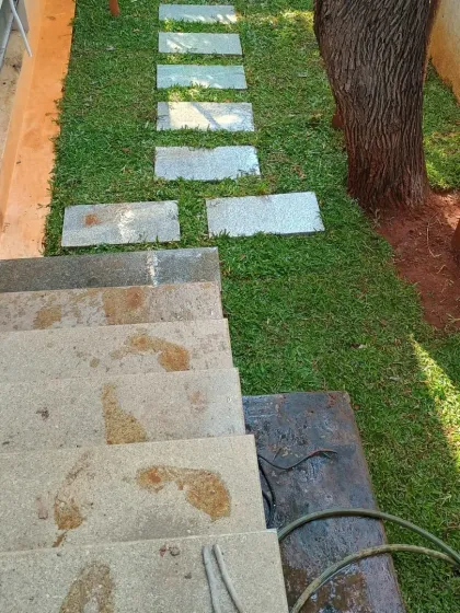 The finished pathway, viewed from the top of the stairs. The combination of stone and lush grass has completely transformed this once-neglected area.