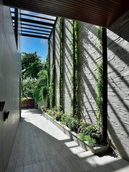 A narrow passage along the T House is transformed into a green corridor with a living wall and a skylight. This detail shows how even small spaces can be used to bring light and nature into the heart of an urban home.