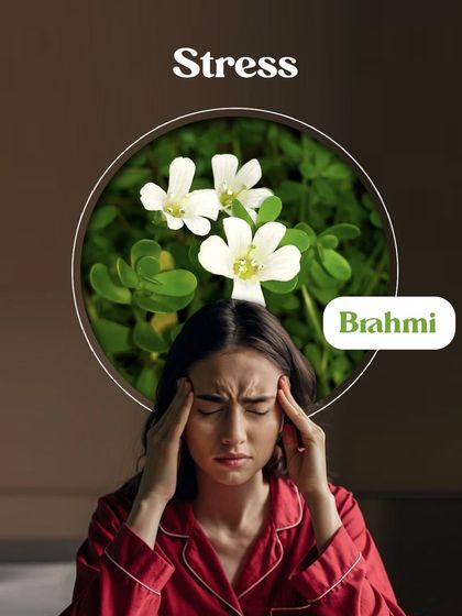 For stress and an overactive mind, the herb Brahmi is a powerful natural coolant for the nervous system.