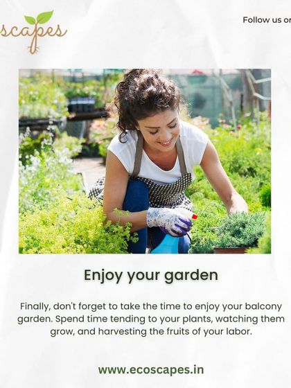 Ecoscapes Landscaping - Urban Gardening & Green Walls Urban Gardening Guides photo 17