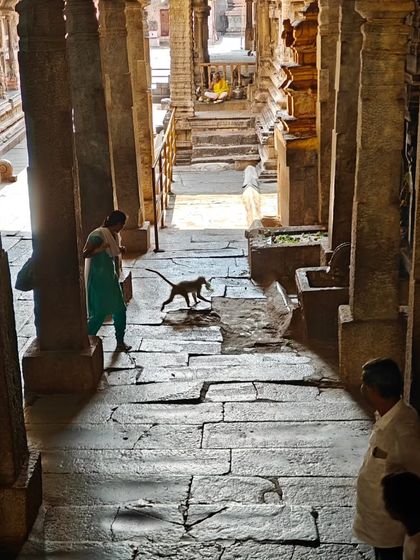 Sneha Kappanna - Theatre, Storytelling & Workshops Stories of Our Land: Cultural Explorations photo 12