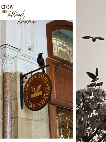 A crow perched on the sign for Kitab Khana bookstore, a monochrome moment that feels timeless.