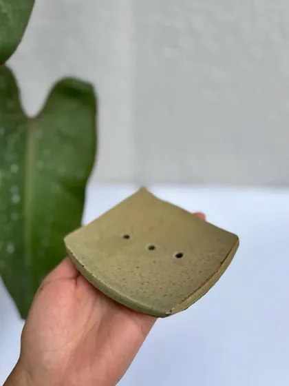 A side view of the Green Celadon soap dish, showing its gentle curve.