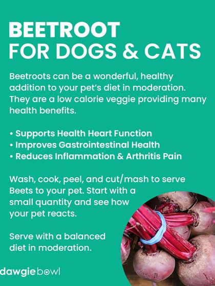 Beetroot can be a wonderful, healthy addition to your pet's diet in moderation. It supports heart health and improves digestion. Just be aware it can turn their poop red, which is harmless!