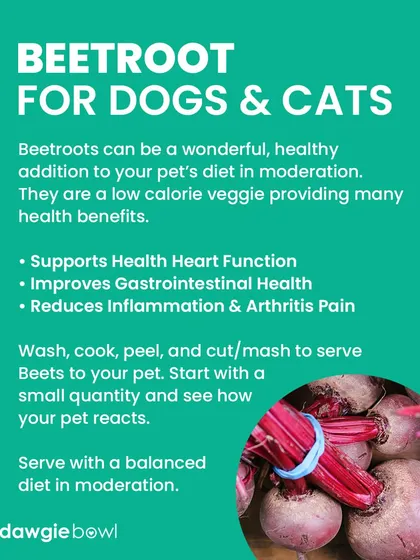 Beetroot can be a wonderful, healthy addition to your pet's diet in moderation. It supports heart health and improves digestion. Just be aware it can turn their poop red, which is harmless!