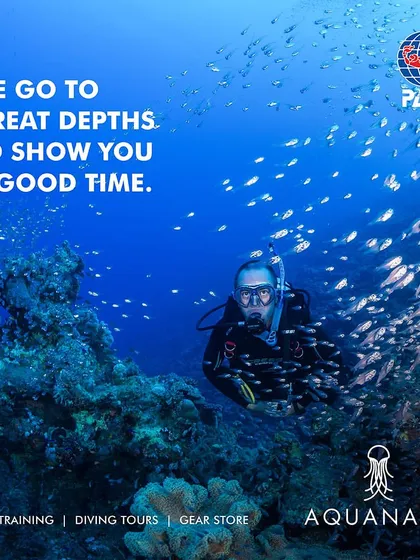 A diver explores a vibrant coral reef surrounded by a cloud of small fish. We go to great depths to show you a good time.