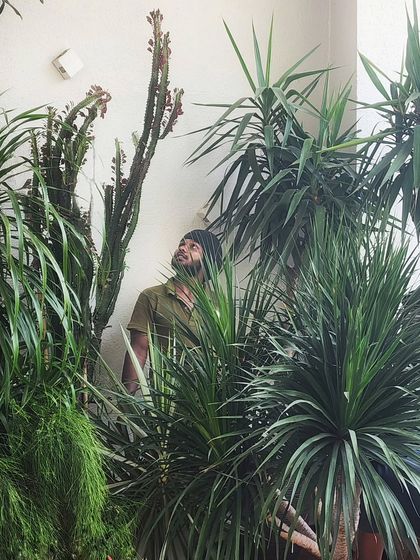 Tropical jungle vibes at a farmhouse on the outskirts of Mumbai. Most of these plants were shoulder height when planted; it's amazing to see how much they've grown.