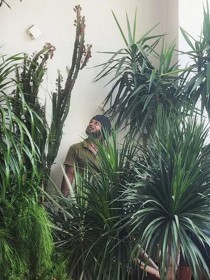 Tropical jungle vibes at a farmhouse on the outskirts of Mumbai. Most of these plants were shoulder height when planted; it's amazing to see how much they've grown.