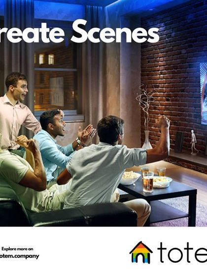 Totem - Home Cinema & Audio Solutions Custom Home Theaters photo 6