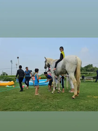 A wide shot of the horse bathing and pool party, showing a lively scene of family fun on the lawn.